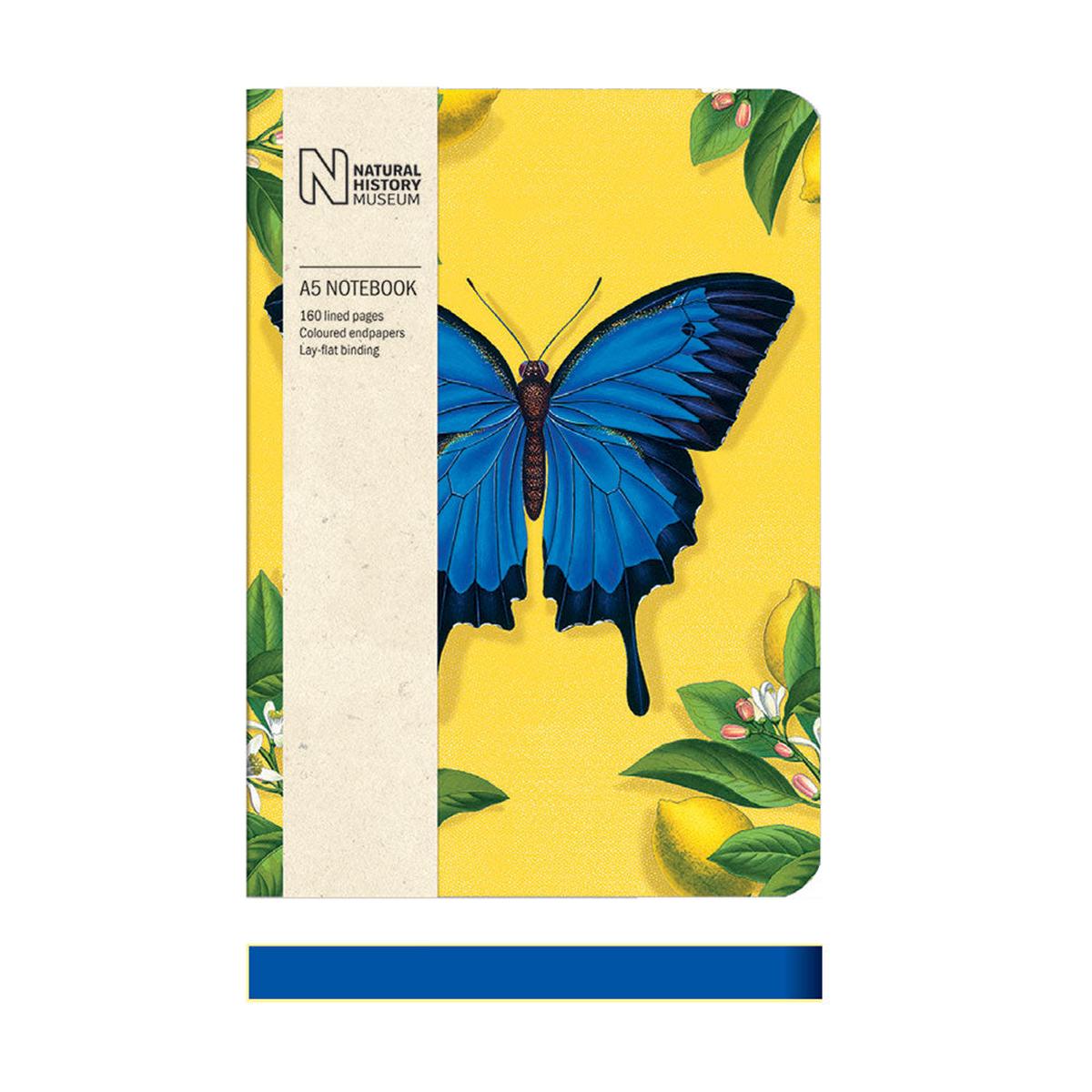 Ulysses Butterfly A5 Notebook
