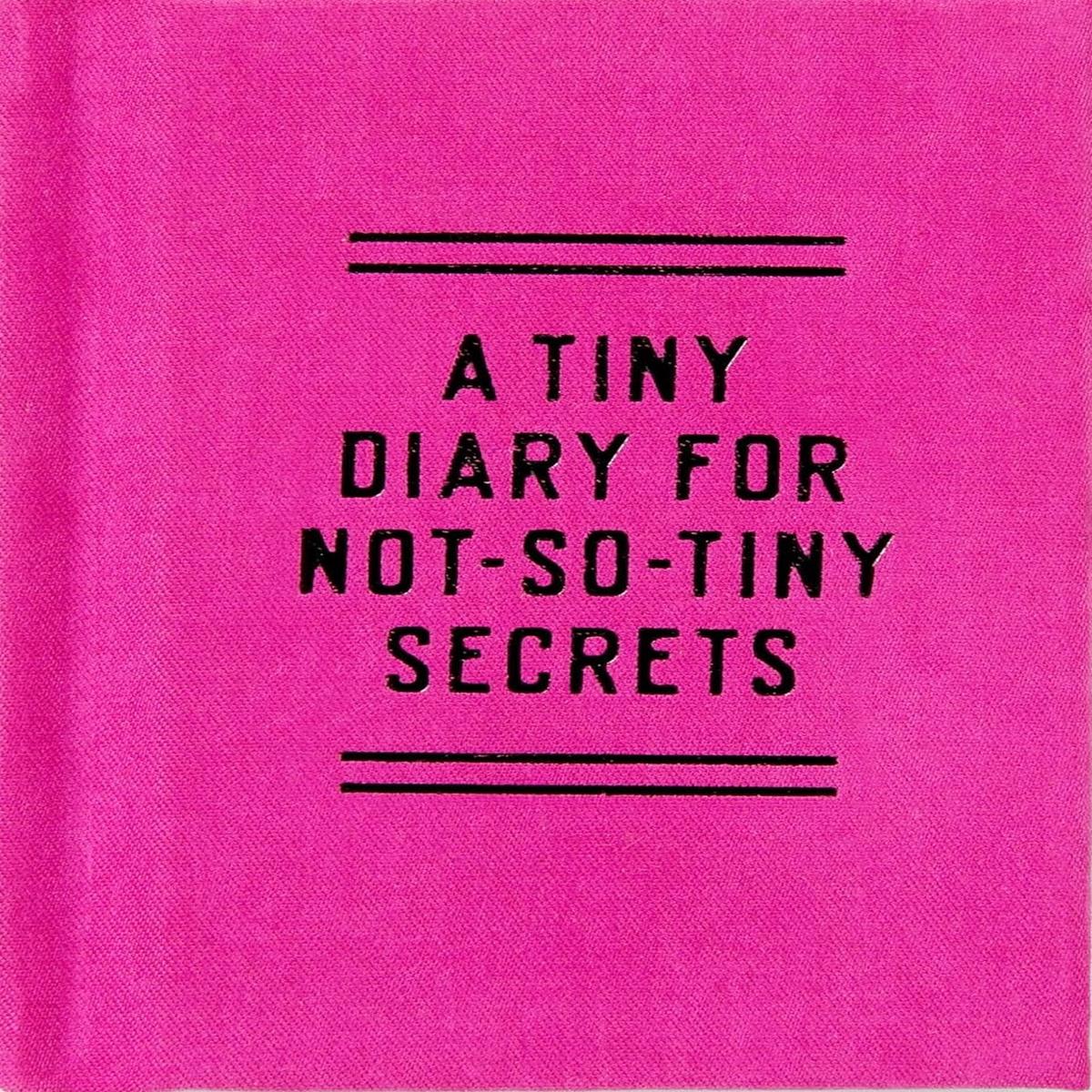 Tiny Diary for Not So Tiny Secrets