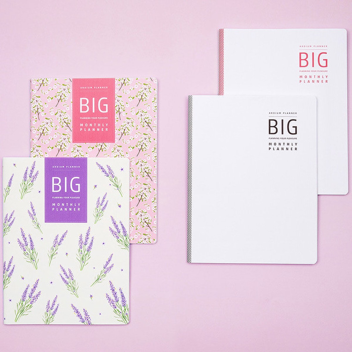 2019 Big dated monthly planner scheduler